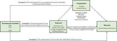 Physical Activity and Systemic Lupus Erythematosus Among European Populations: A Two-Sample Mendelian Randomization Study